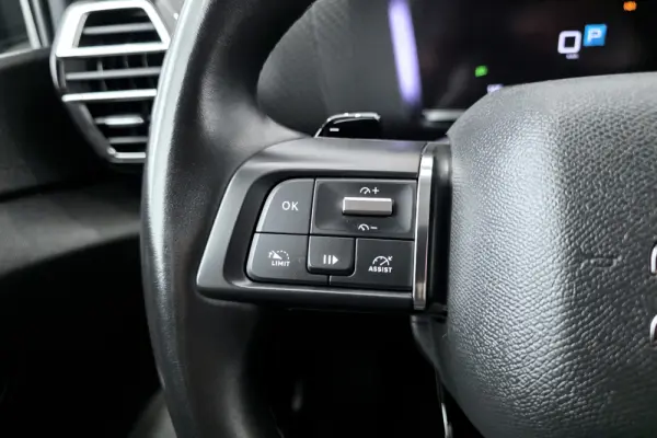Citroen C4 PureTech 130 Stop&Start EAT8 C-SERIES 19