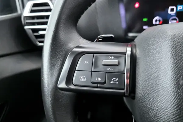 Citroën C4 PureTech 130 Stop&Start EAT8 PLUS 16