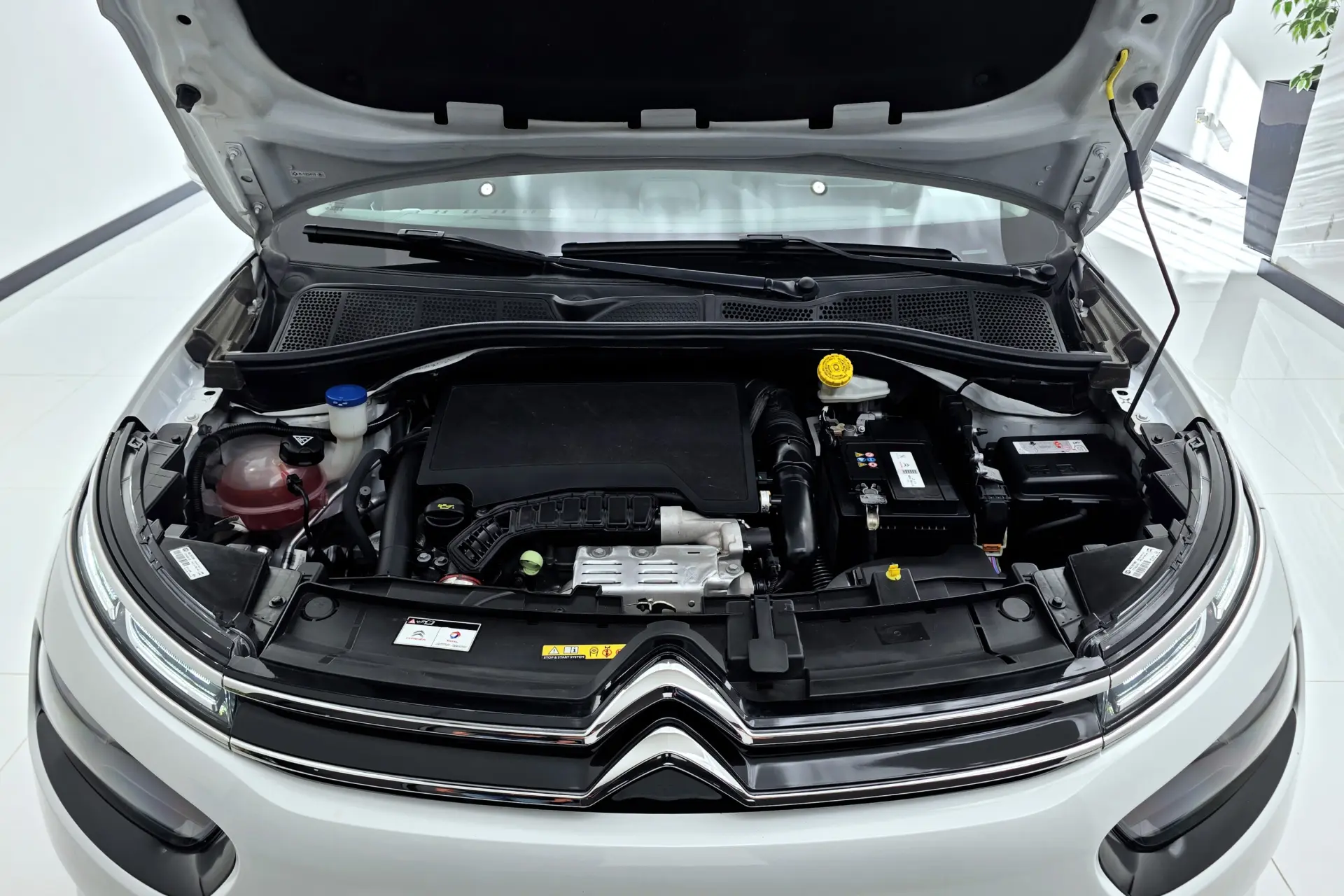 Citroen C4 Cactus 1.2 PureTech Shine Pack 26