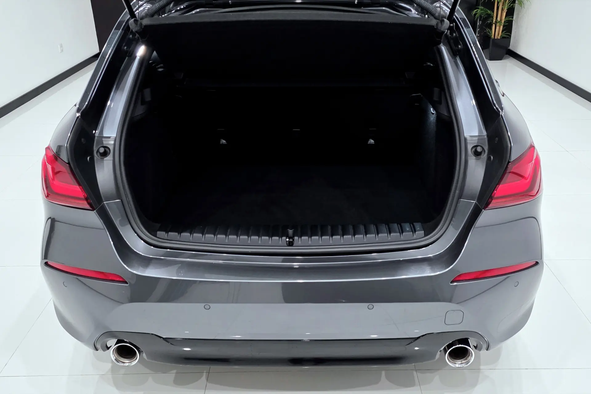 BMW 118 d Line Sport Auto 12