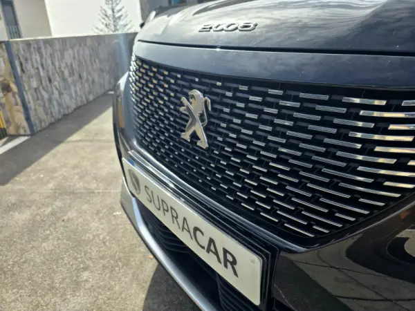 Peugeot 2008 1.2 PureTech GT Line 8