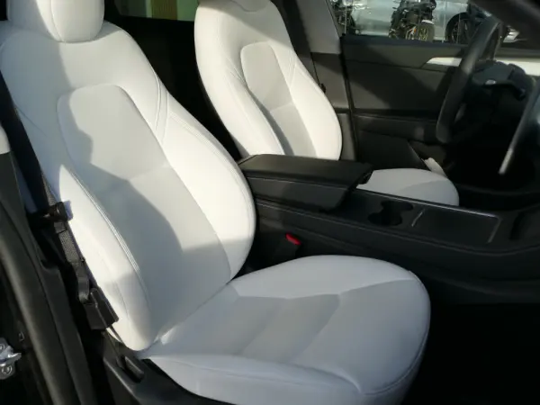 Tesla Model Y Standard 26