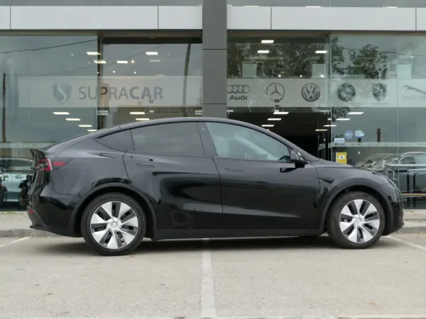 Tesla Model Y Standard 17