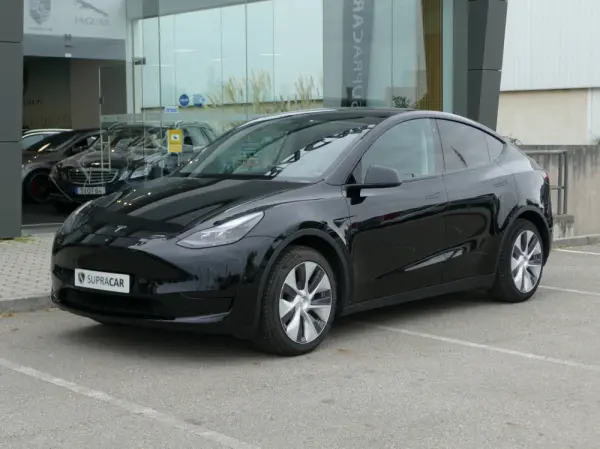Tesla Model Y Standard 1