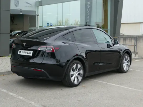 Tesla Model Y Standard 4