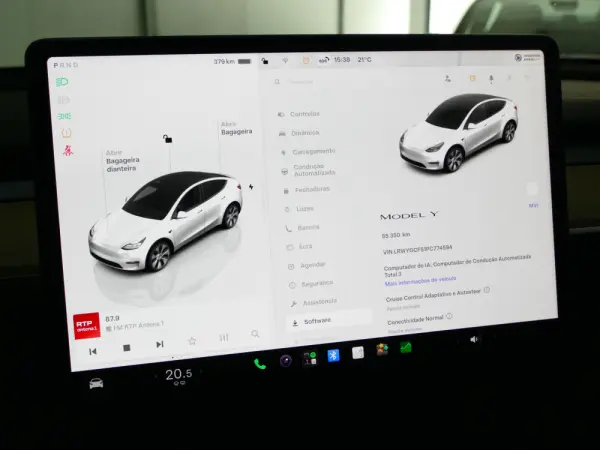Tesla Model Y Standard 19