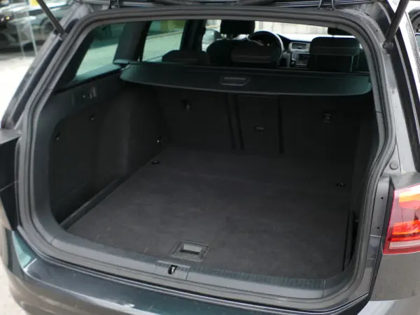 Volkswagen Golf Variant 2.0 TDI GTD DSG 13