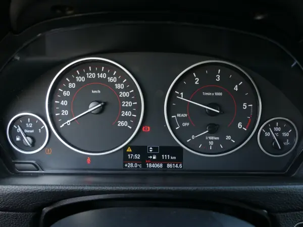BMW 318 d Line Sport 19