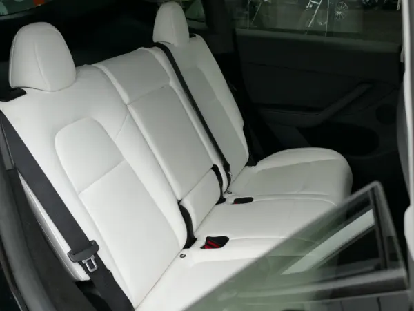Tesla Model Y Tração Traseira 32