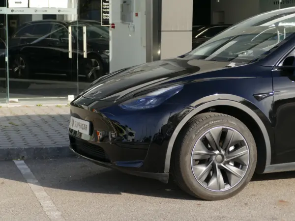 Tesla Model Y Standard 3