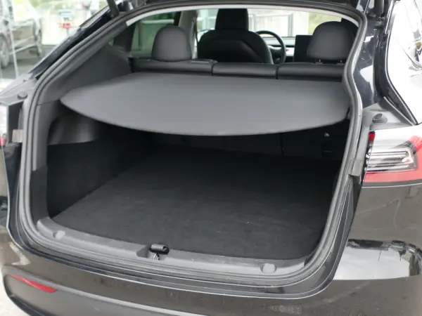 Tesla Model Y Standard 13