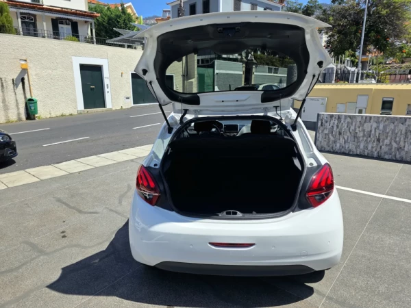 Peugeot 208 1.6 BlueHDi Style 17