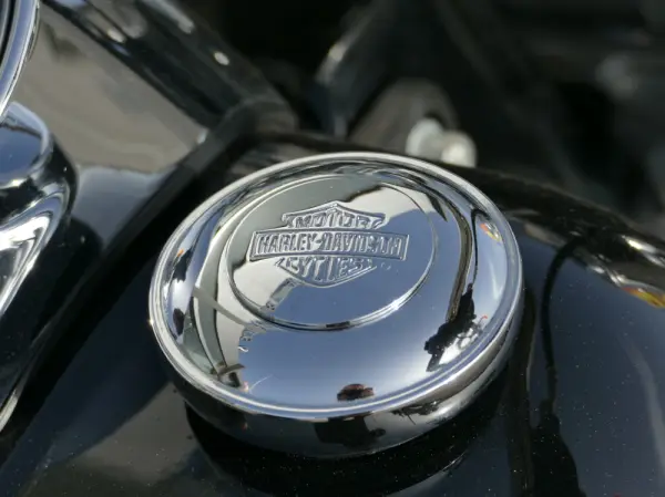 Harley-Davidson Fat Boy 114 26