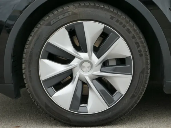 Tesla Model Y Standard 7