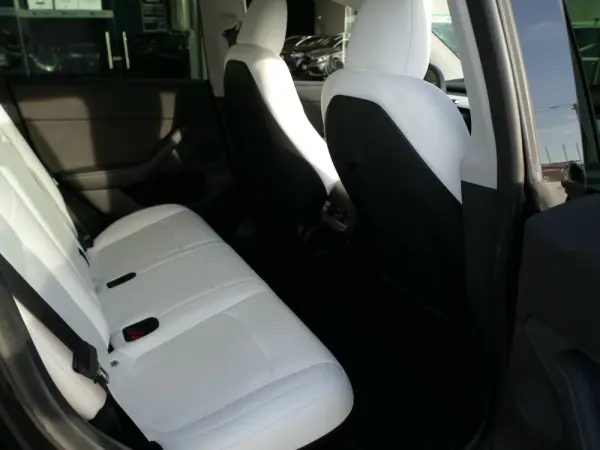 Tesla Model Y Standard 29