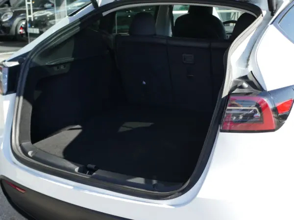 Tesla Model Y Standard 13