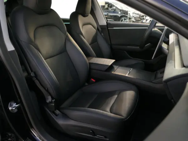 Tesla Model 3 Long Range Tração Integral 25