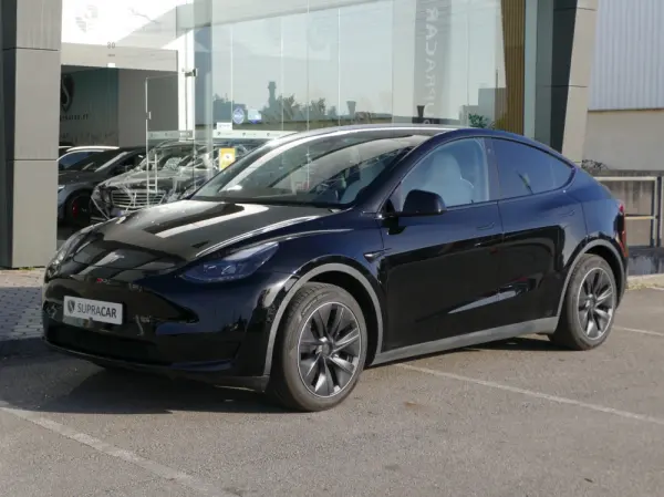 Tesla Model Y Standard 1