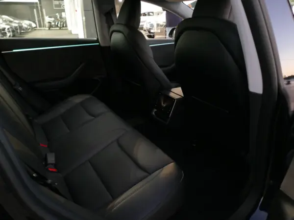 Tesla Model 3 Long Range Tração Integral 28