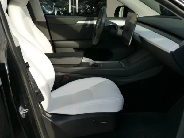 Tesla Model Y Standard 27