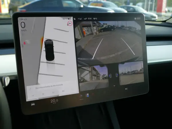 Tesla Model Y Standard 20