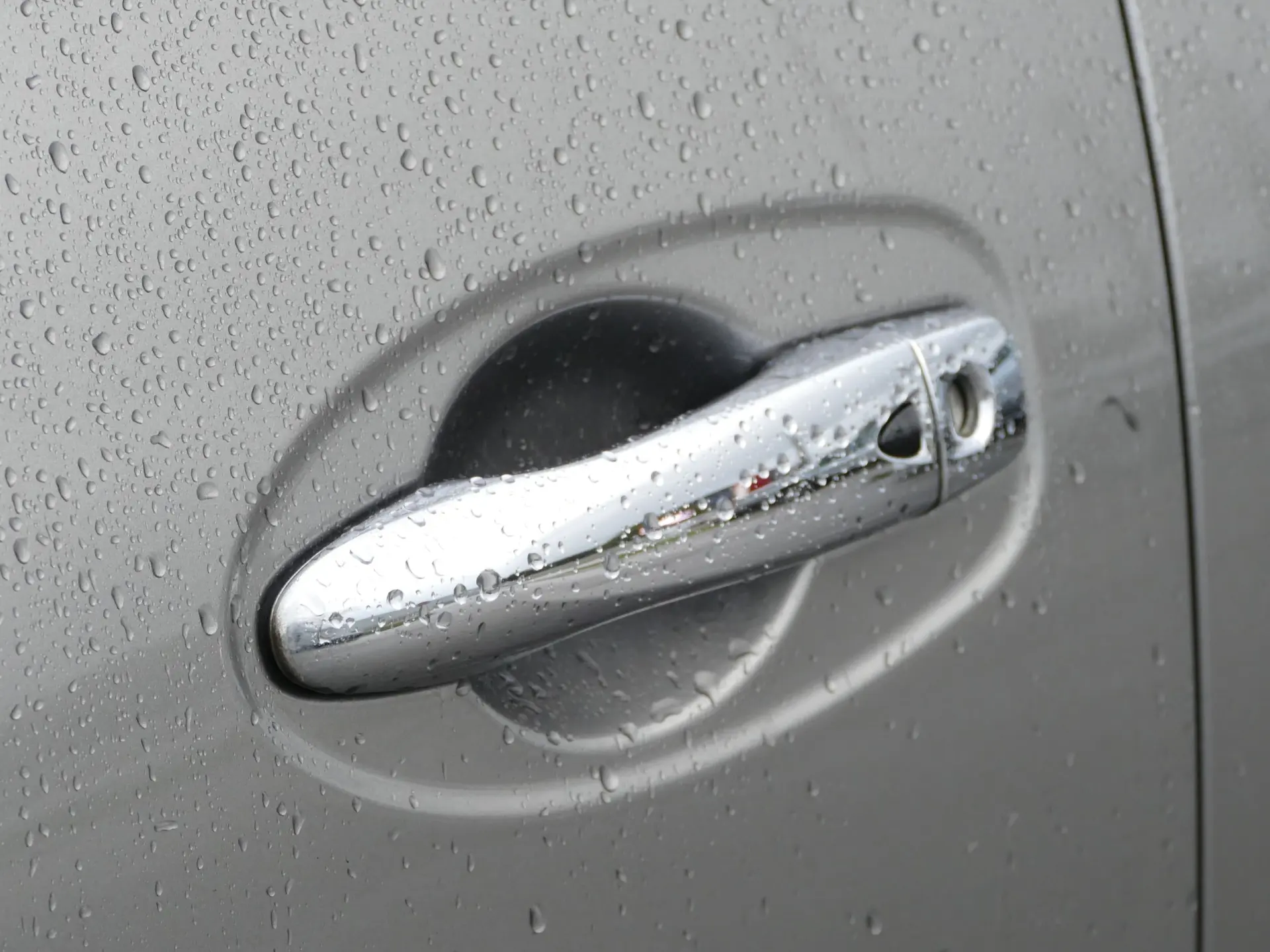 Nissan Navara 2.3 dCi CD 4WD N-Connecta Navi+Barras 7