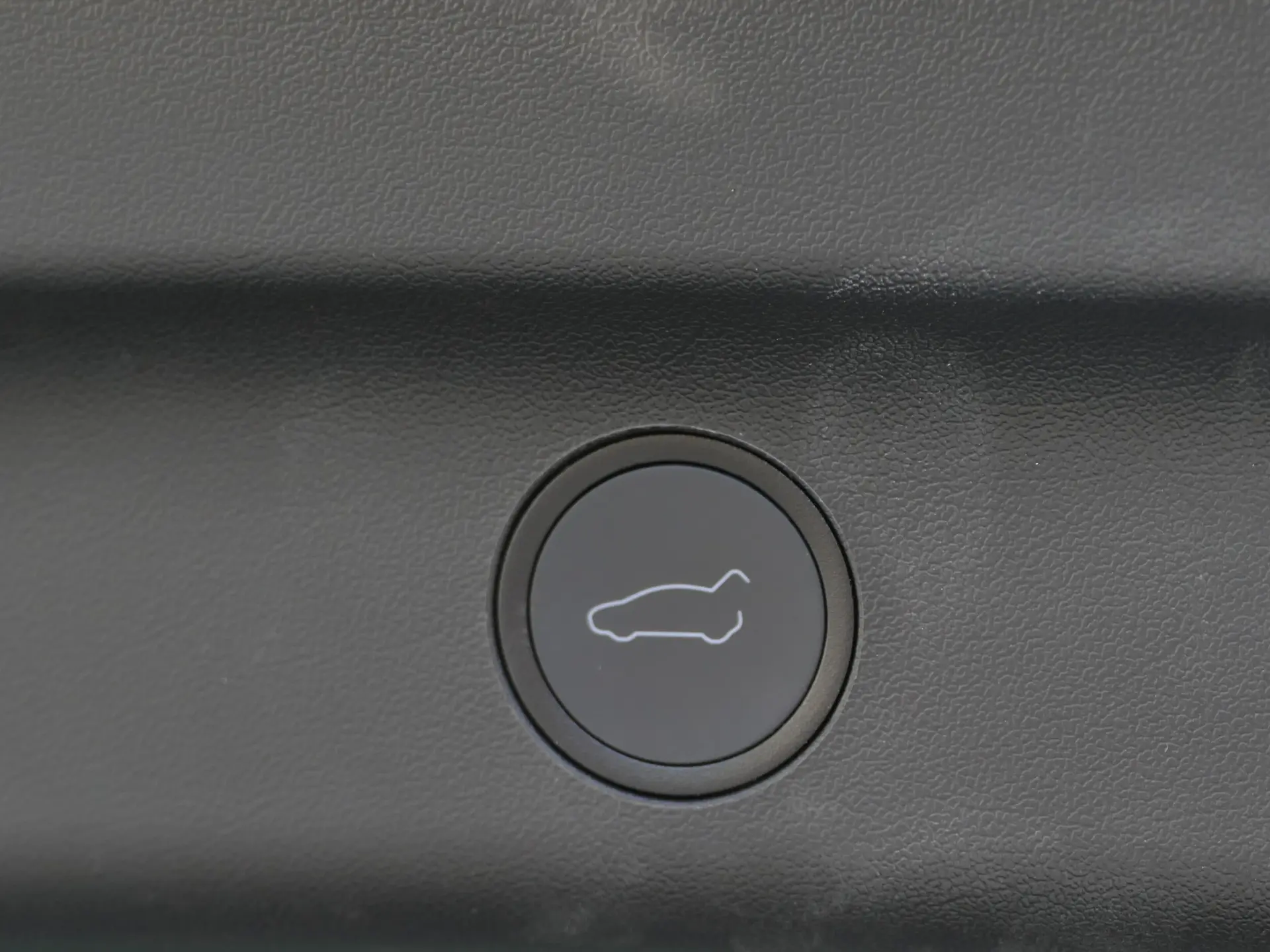 Tesla Model Y Standard 12