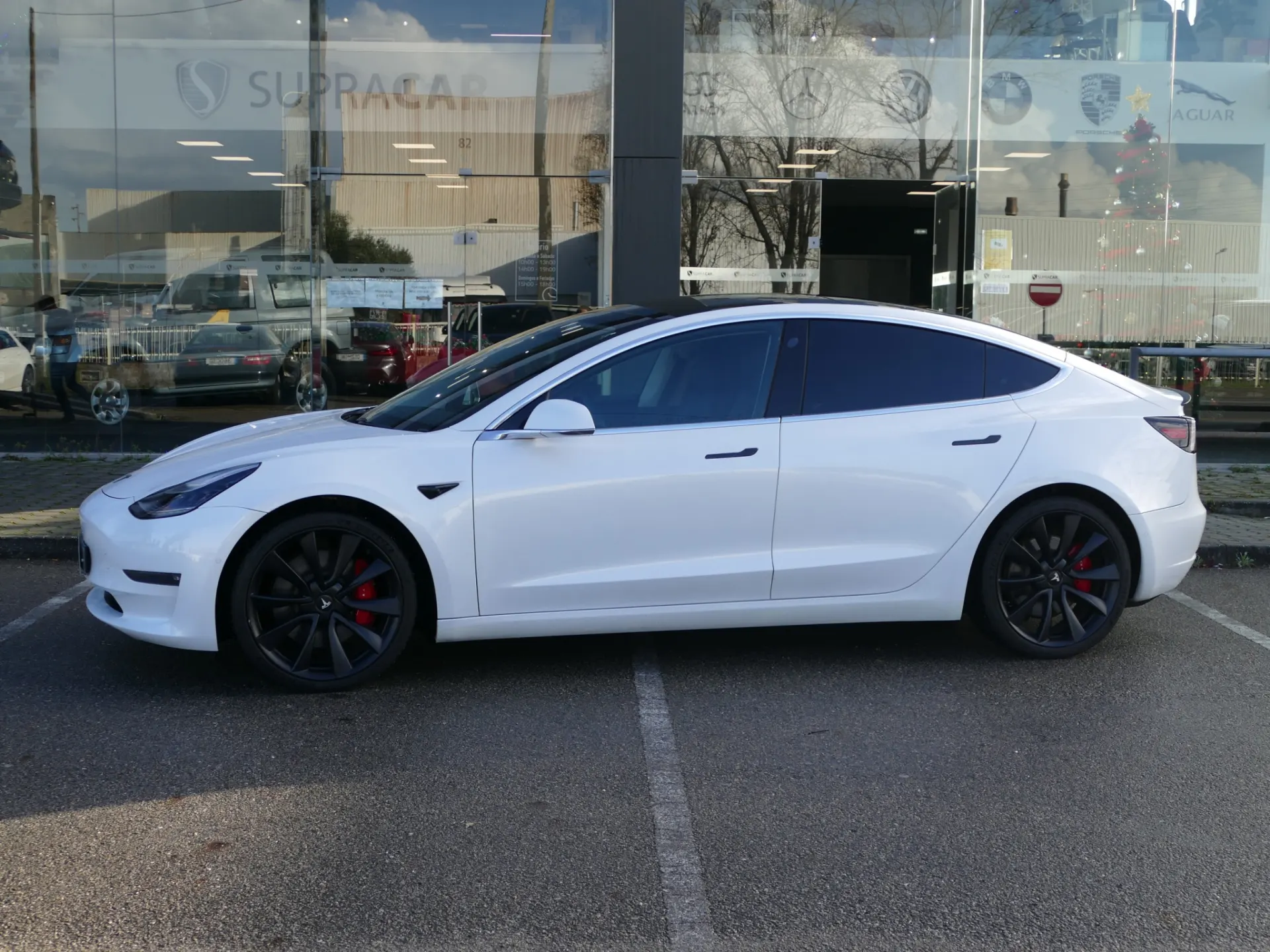 Tesla Model 3 Performance Dual Motor AWD 17