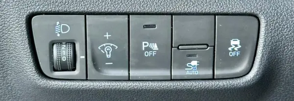 Hyundai Kauai 39 kWh Premium 11