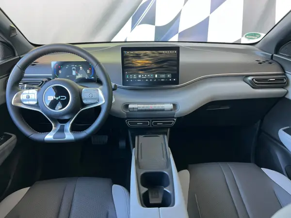 BYD Dolphin Surf 43.2 kWh Comfort 13