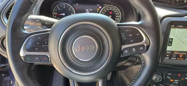 Jeep Renegade 1.6 MJD Limited S DCT 19