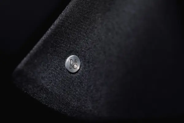 Ford Mustang Mach-E Standard 19