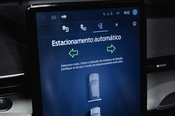 Ford Mustang Mach-E Standard 21