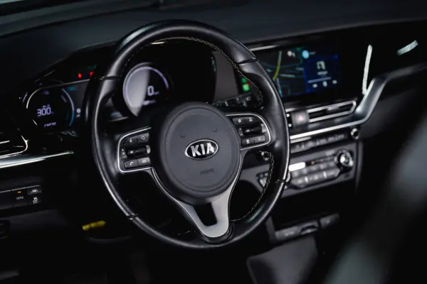 Kia e-Niro 64kWh 6