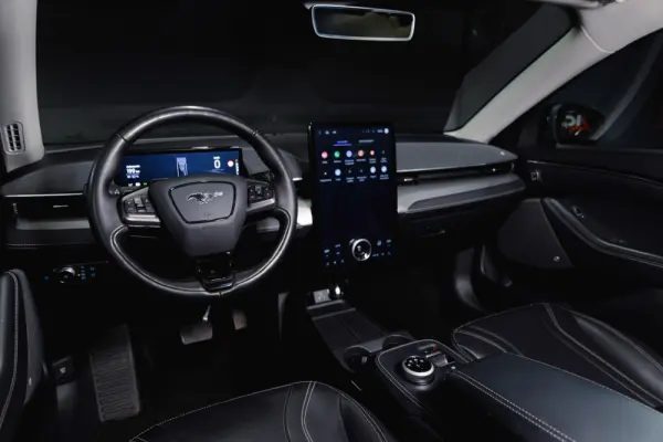 Ford Mustang Mach-E Standard 11