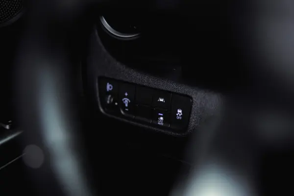 Hyundai Kauai 64 kWh Premium 19