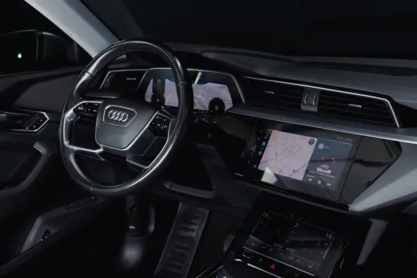 Audi e-tron 50 quattro advanced 14