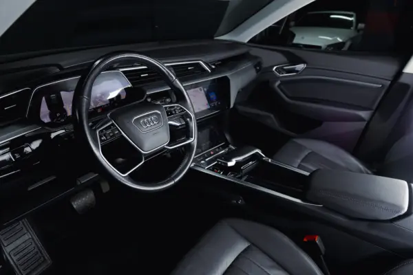 Audi e-tron 50 quattro advanced 5