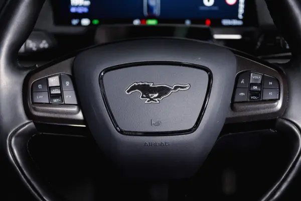 Ford Mustang Mach-E Standard 16