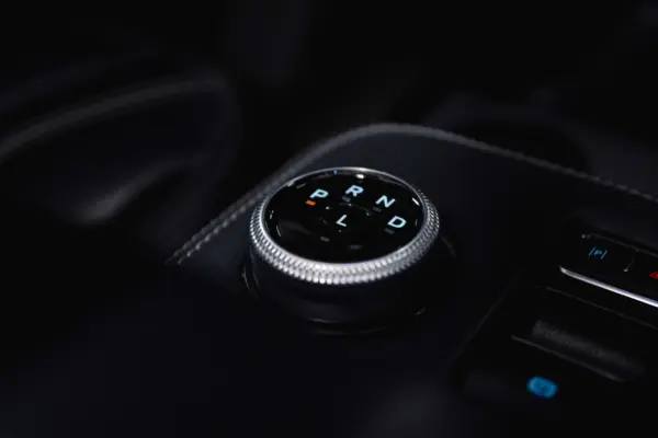 Ford Mustang Mach-E Standard 15