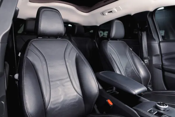 Ford Mustang Mach-E Standard 8