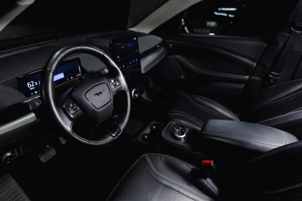 Ford Mustang Mach-E Standard 5