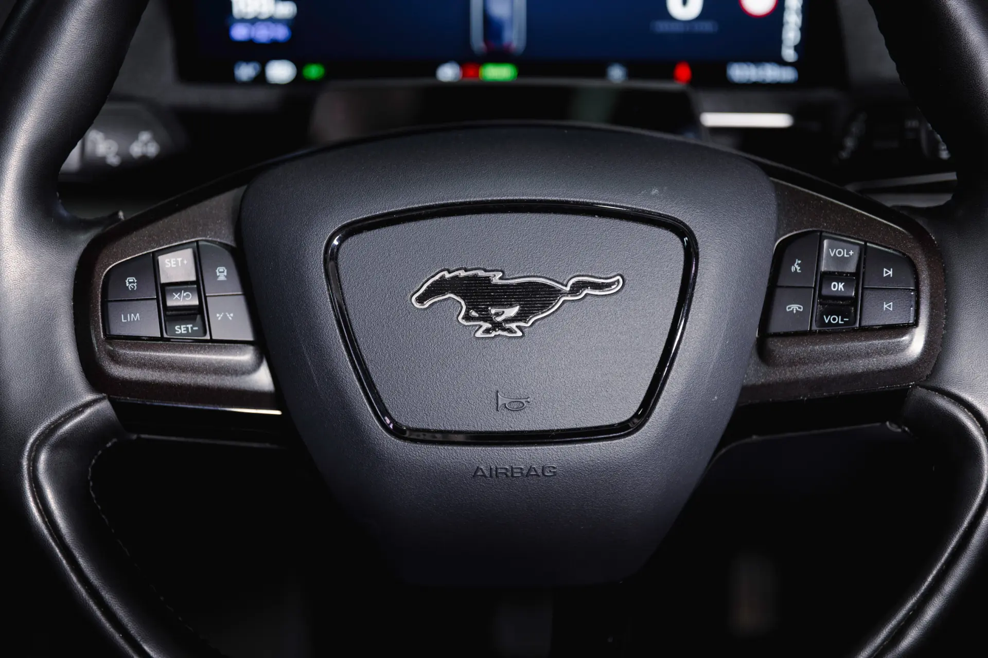 Ford Mustang Mach-E Standard 16