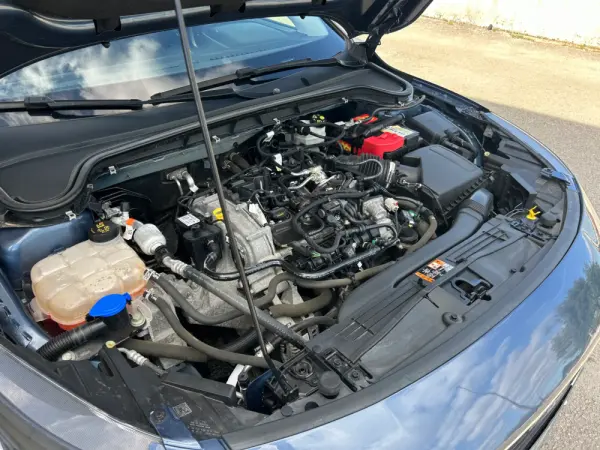 Ford Focus SW ECOBOOST  Connected 2023 125 CV 46