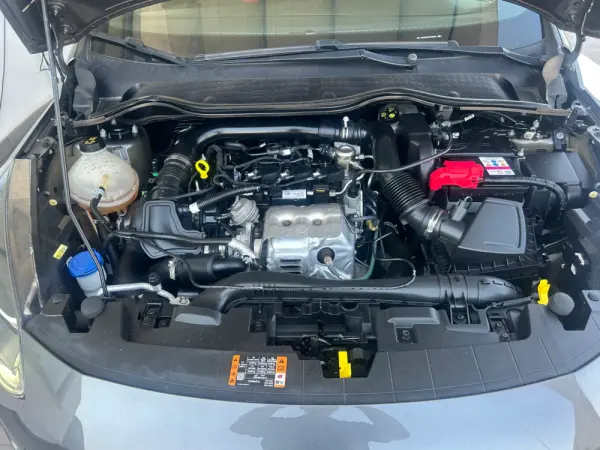 Ford Fiesta 1.0 EcoBoost ST-Line 24
