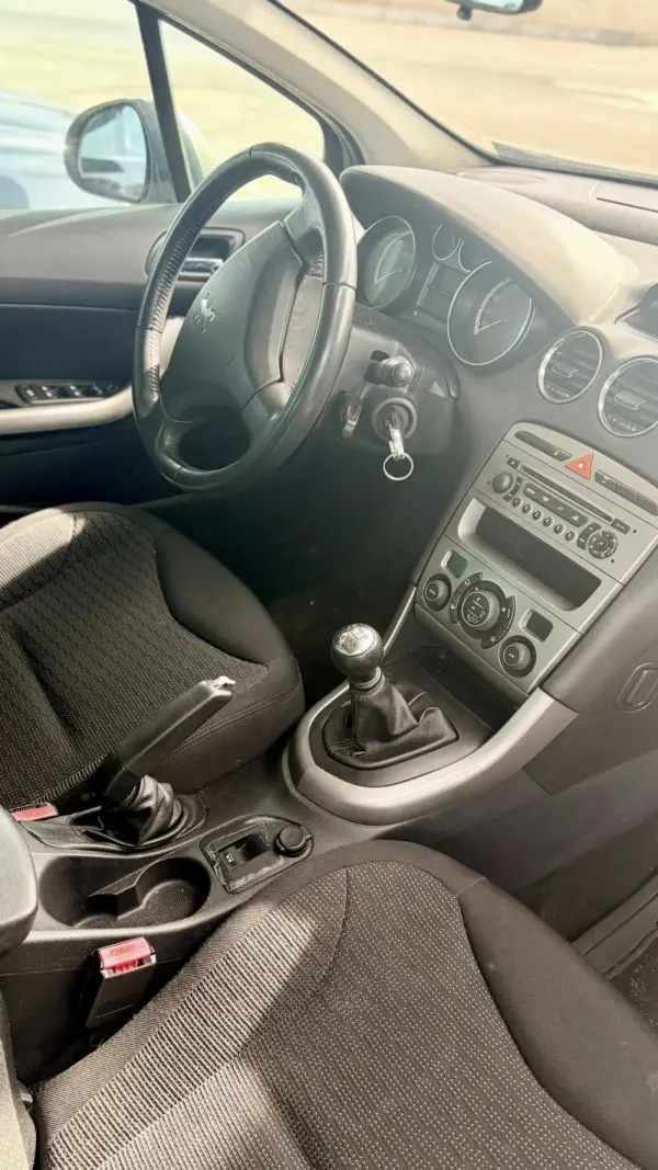 Peugeot 308 SW Outro 10