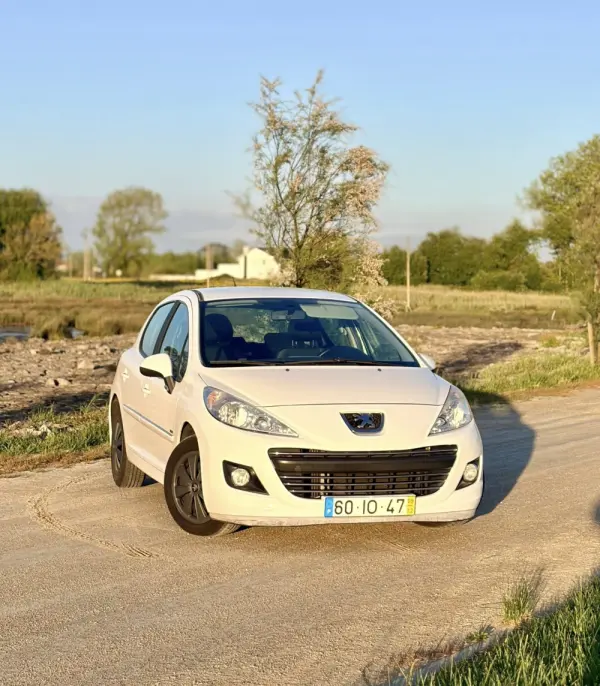 Peugeot 207 1.6 HDi 99g 9