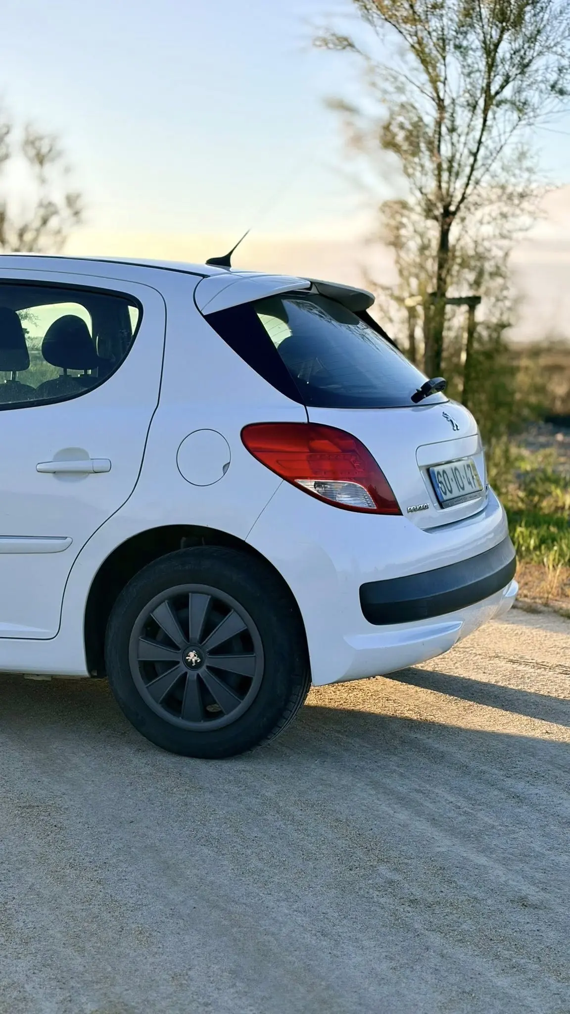 Peugeot 207 1.6 HDi 99g 10