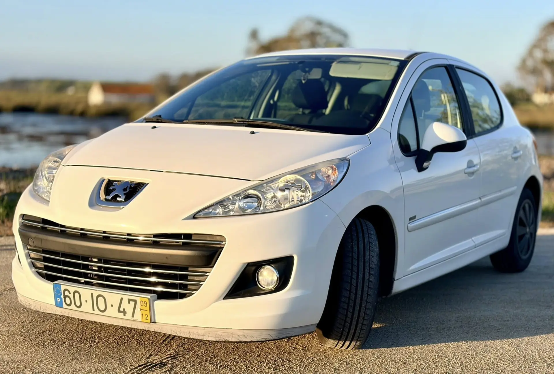 Peugeot 207 1.6 HDi 99g 12