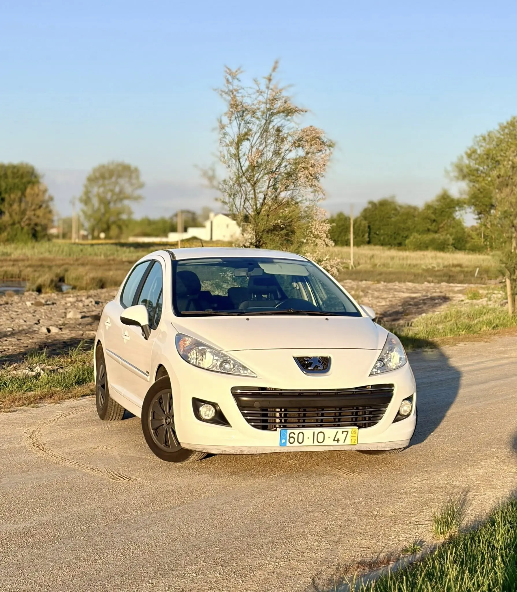 Peugeot 207 1.6 HDi 99g 9